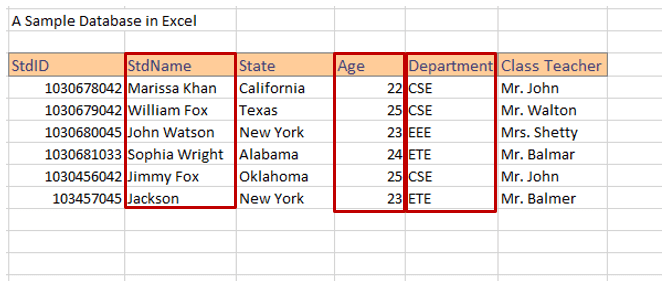 criar um banco de dados pesquisável no Excel 7