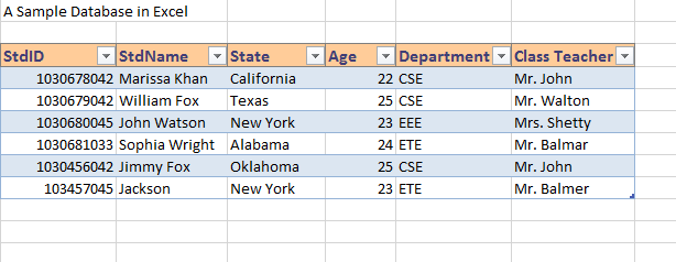 criar um banco de dados pesquisável no Excel 9