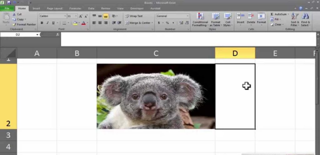  insira o gif no excel