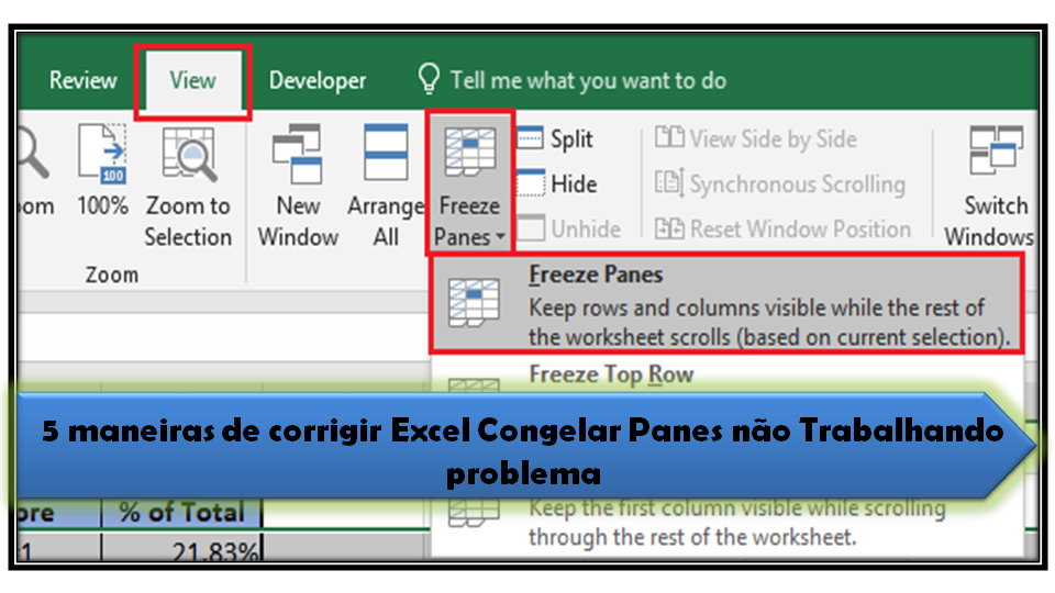 5 maneiras de corrigir Excel Congelar Panes não Trabalhando problema
