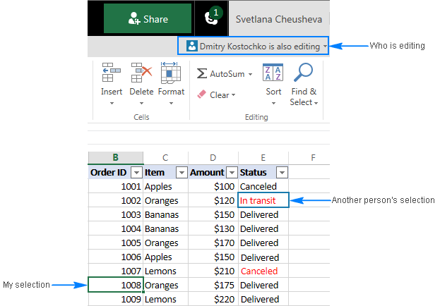 usar a coautoria no Excel 4